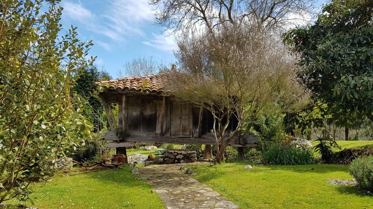 Amaicha Apartamentos Rurales Ribadesella Bagian luar foto